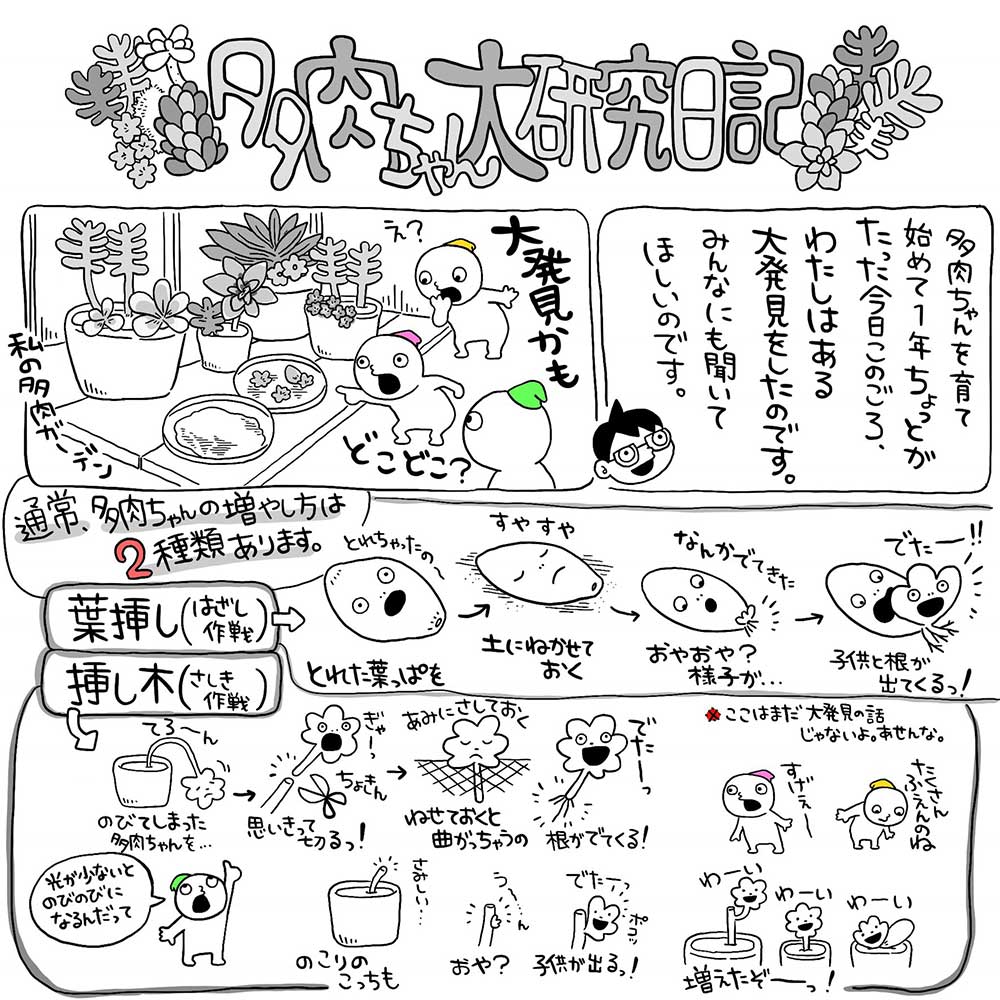 多肉ちゃん大研究日記