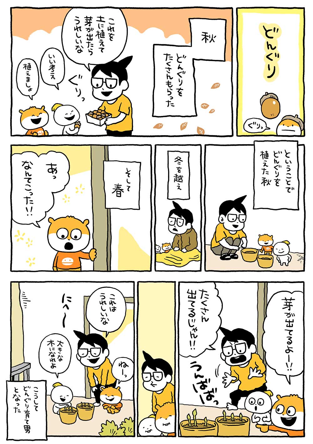 どんぐり