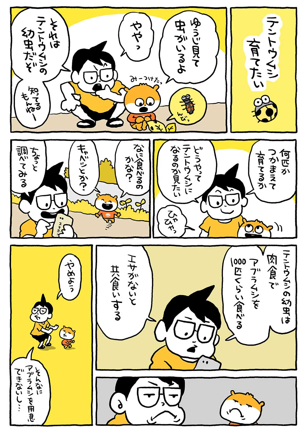 テントウムシ育てたい