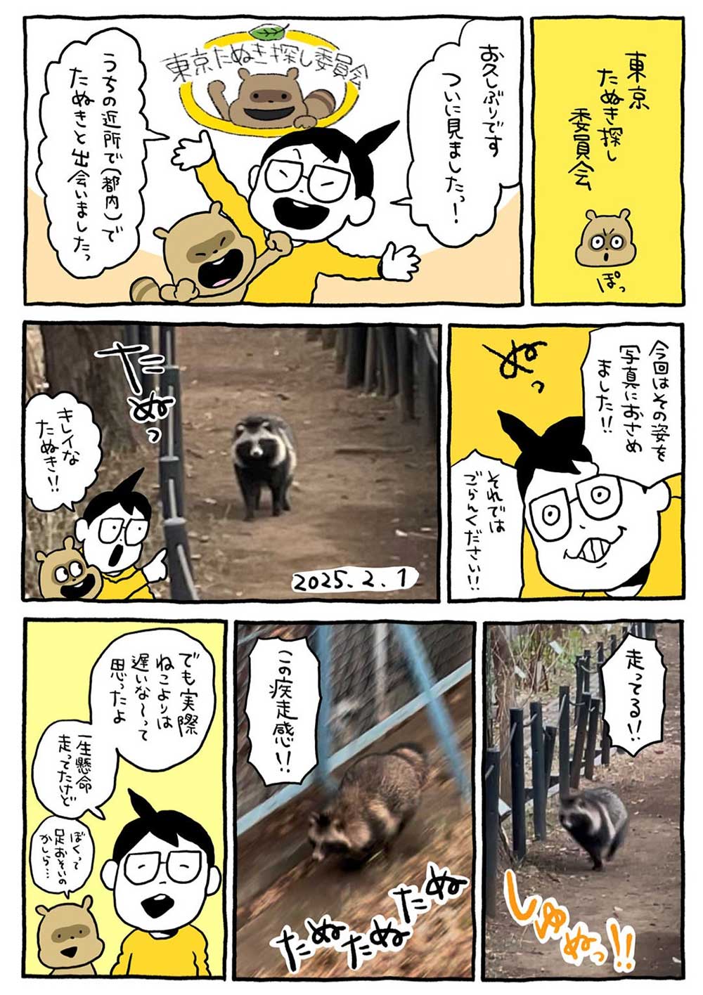 東京たぬき探し委員会