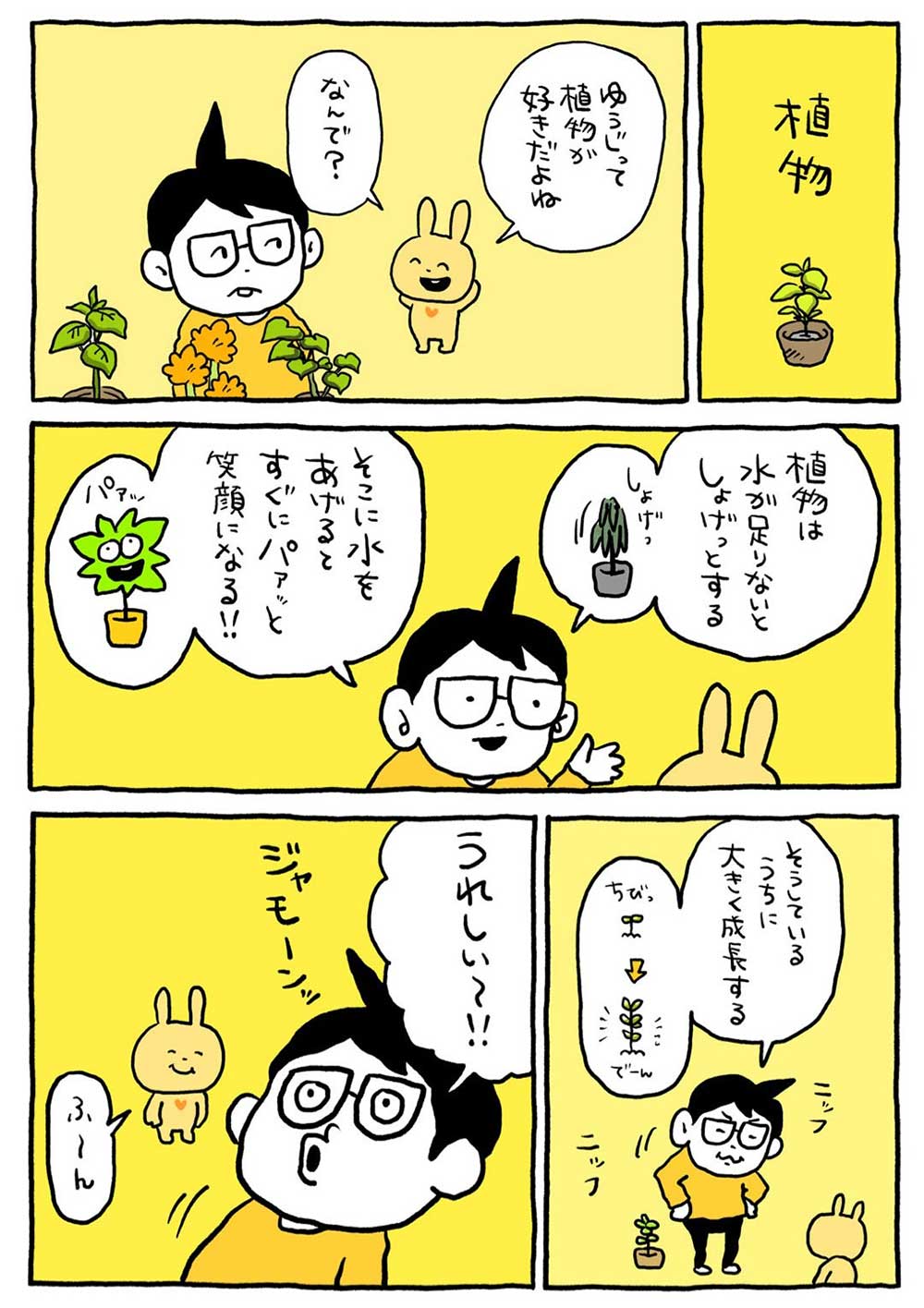 植物