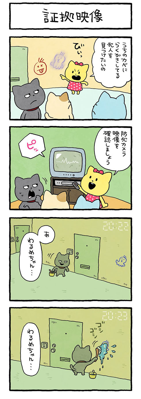 証拠映像